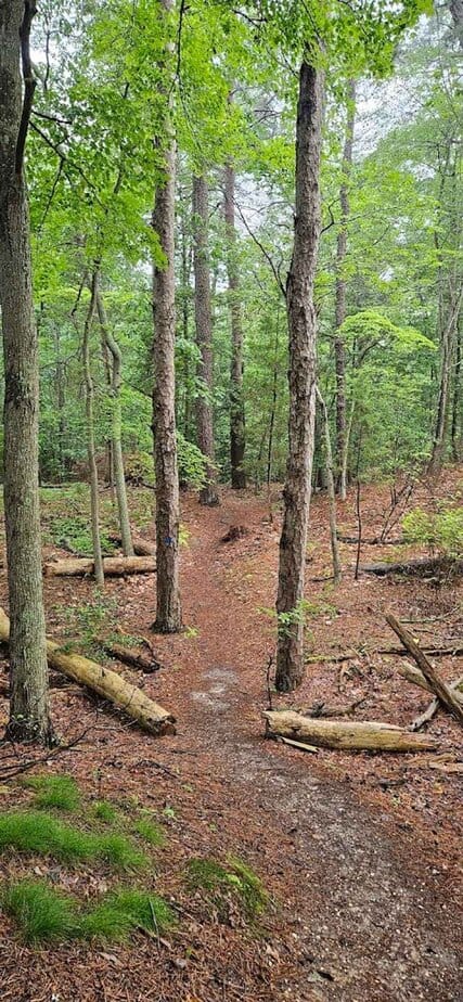 Why Maurice River Bluffs Feels Nothing Like the New Jersey You Expect