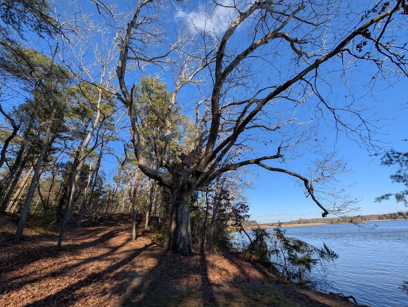 The River Views Rugged Hills and Wild Beauty You&rsquo;ll Find Along the Way