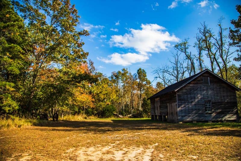 The historic village adds just enough mystery to the experience