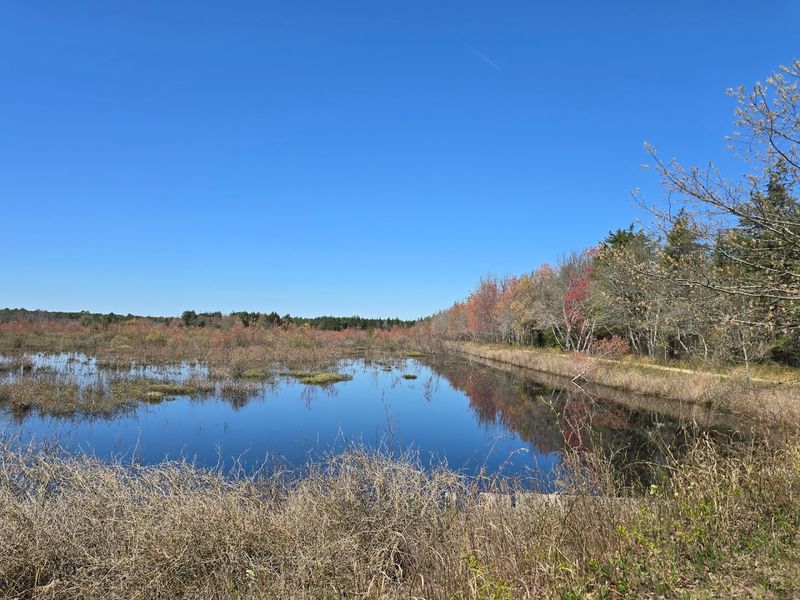 What to know before you go so the visit stays peaceful and low-stress