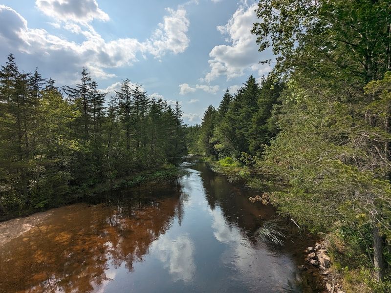 The quiet magic of the Pine Barrens is the real surprise here