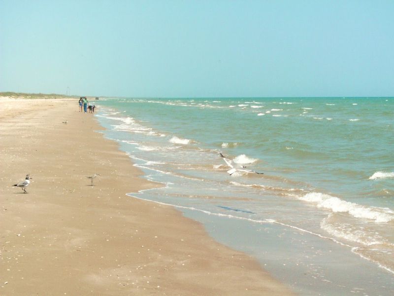 Where The River Meets The Gulf