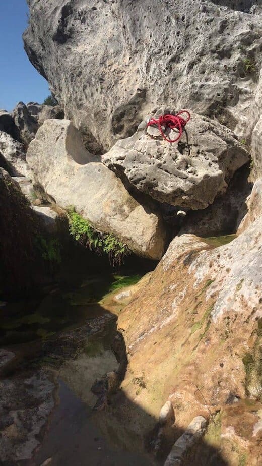 Safety and Fitness Check