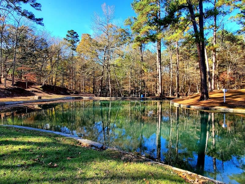 This Hidden Texas Spring Has Crystal-Clear Water and the Chillest Vibes The Spring Fed Swimming Hole