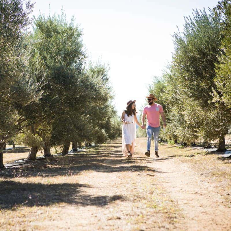 Family Spirit and Hospitality