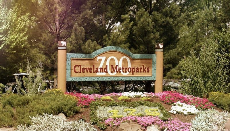 This Insanely Fun Road Trip Takes You To 9 Animal Parks In Ohio That Feel Like Africa Cleveland Metroparks Zoo (Cleveland)
