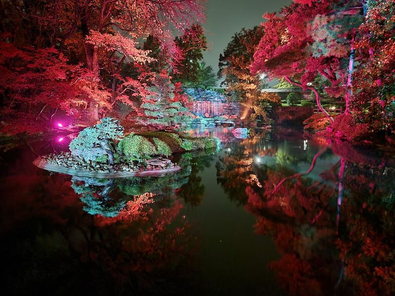 Seasonal Magic and Nighttime Lights