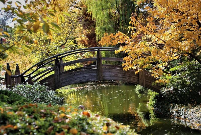 Photo Routes, Relaxed Loops, and Membership