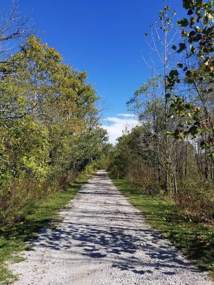 This Magical Park In Ohio Was Ripped From The Pages Of A Storybook The Wetland Loop Trail