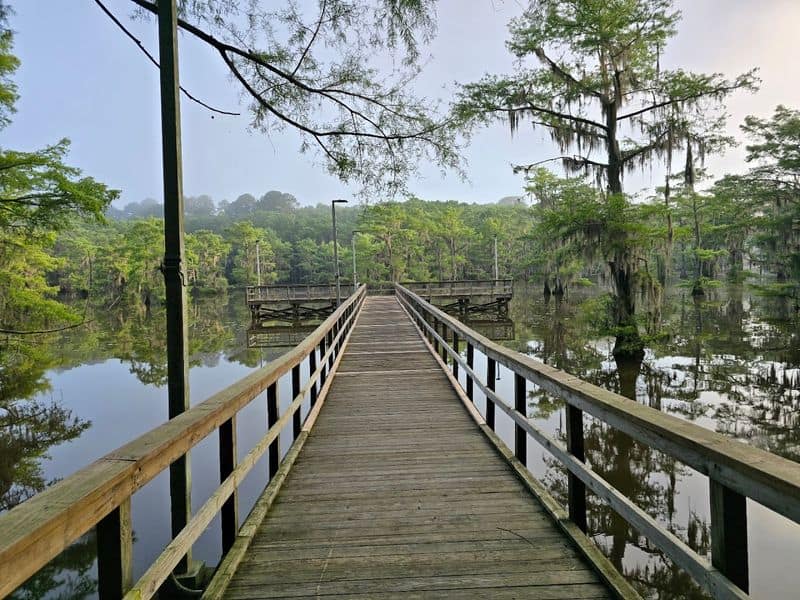 This Magical Texas Forest Looks Like It Came Straight Out of a Fairy Tale Saw Mill Pond Pier at Sunrise