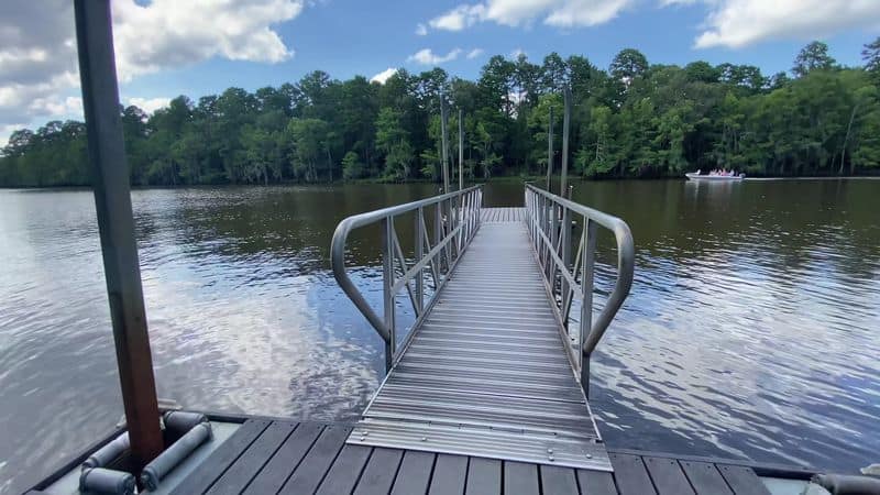 This Magical Texas Forest Looks Like It Came Straight Out of a Fairy Tale Fishing the Bayou’s Quiet Corners