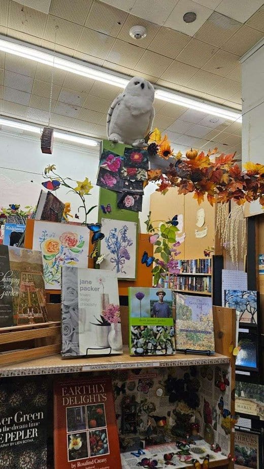 This Massive 3-Story Texas Bookstore Is Every Book Lover’s Fantasy Kids, Comics, and Games