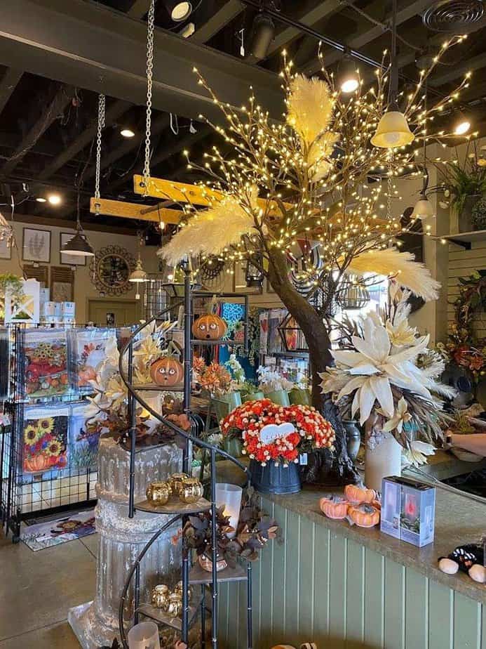 Gourmet Treats and Fudge