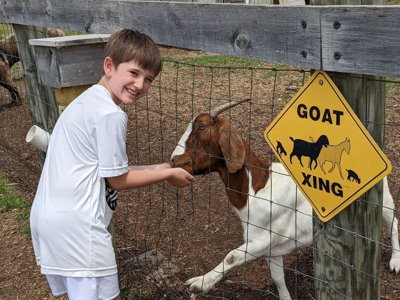 Beyond the berries there is plenty here for kids too