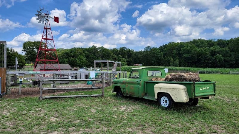 Where a New Jersey farm day turns into a family tradition