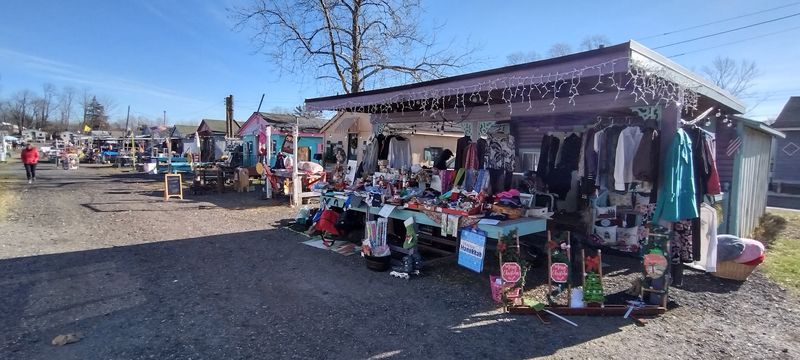 Why Toy Collectors Keep Coming Back to This Spot in New Egypt