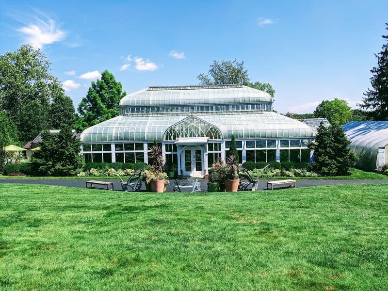 The Conservatory and Palm House
