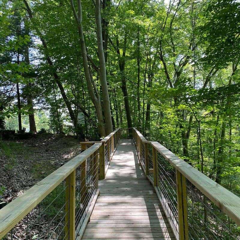 Aviary and Raptors Up Close