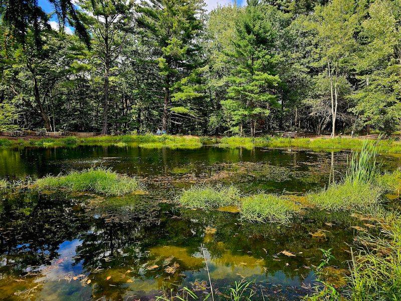 Nature's A-Glow Winter Lights