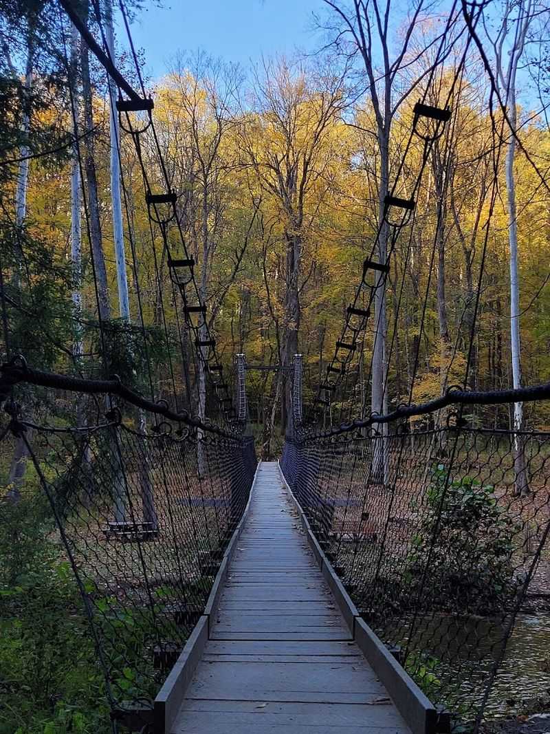 Gorge Overlook and Suspension Bridge