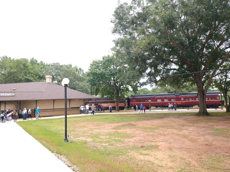 Timetable and Booking Tips