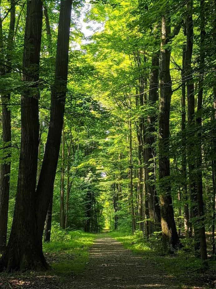 This Postcard-Worthy State Park In Ohio Is So Beautiful, It Feels Like A Dream Golf, Disc Golf, and Courts