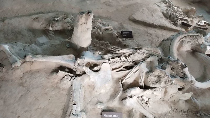 Flash Flood Hypothesis