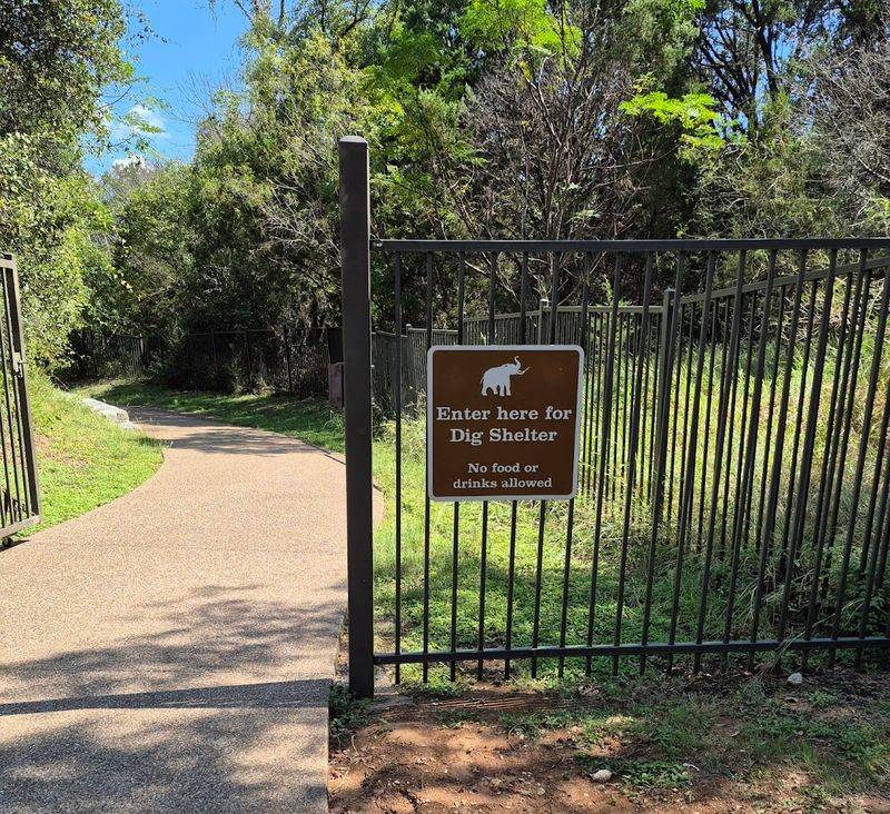 Eagle Scout Trail Nature Walk
