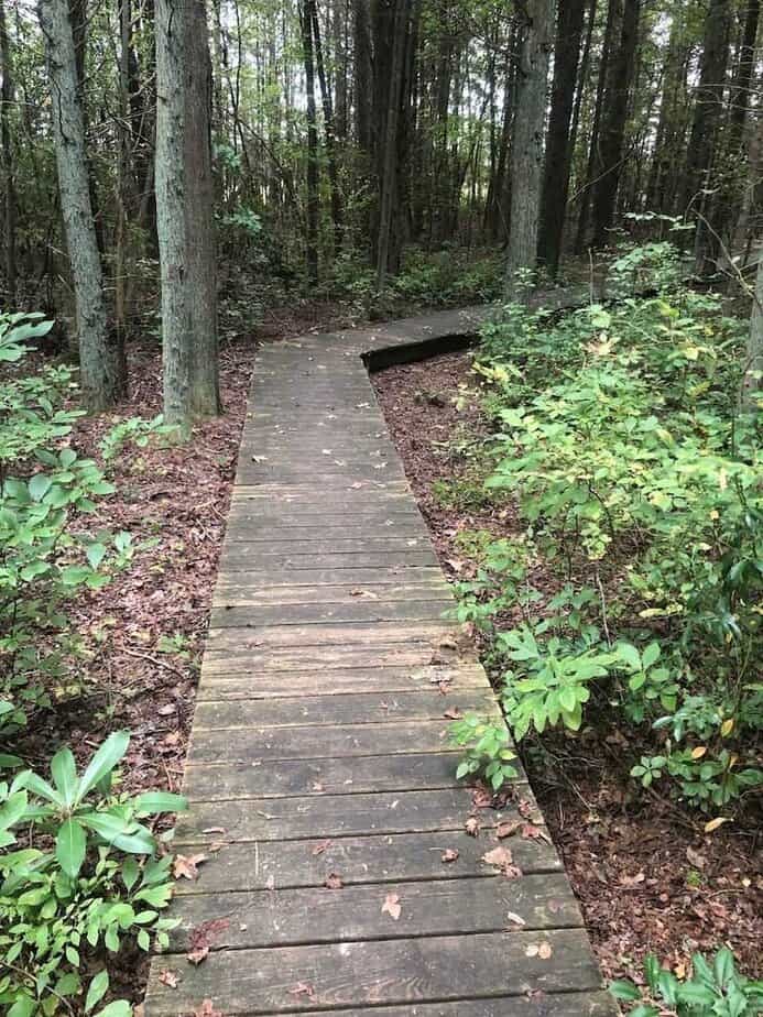 The Easy Nature Trail That Lets You Slow Down and Take It All In