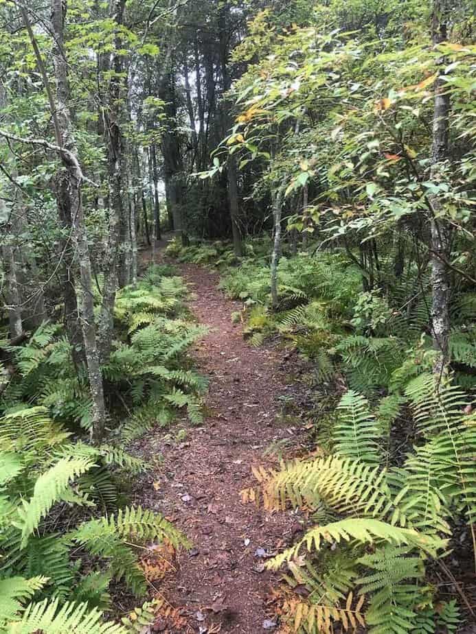 The Fascinating History Hidden Behind This Peaceful Outdoor Escape