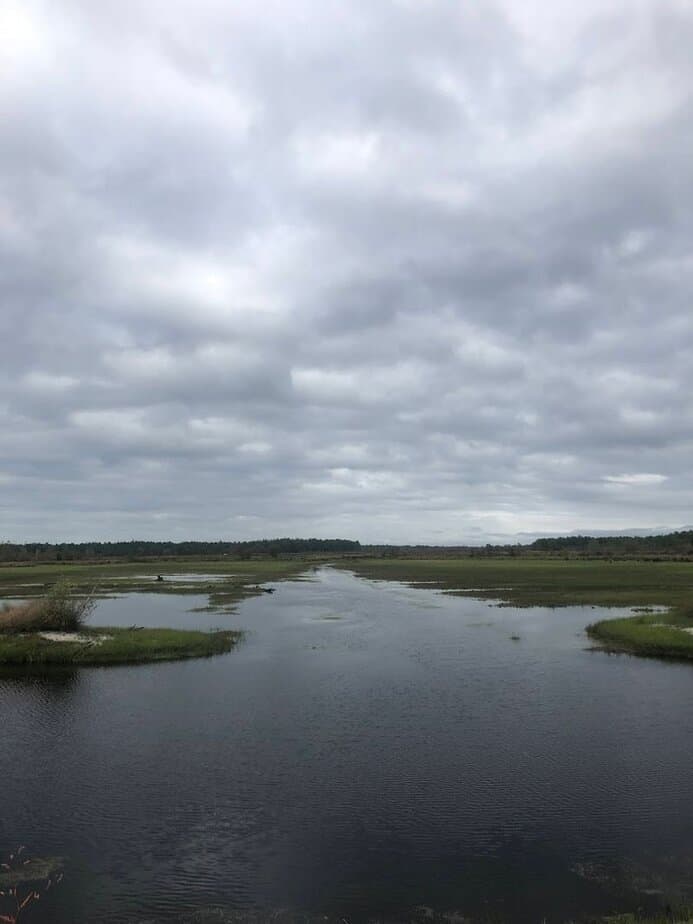 Why Birdwatchers, Photographers, and Casual Walkers All Love It Here