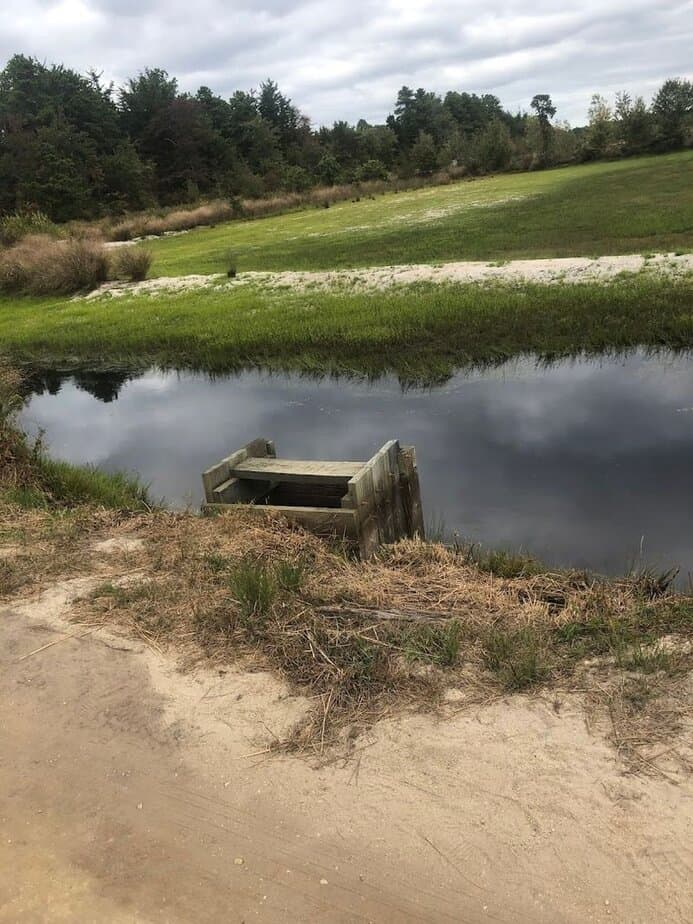 The Best Time to Visit for Cranberry Views Wildflowers and Quiet Paths