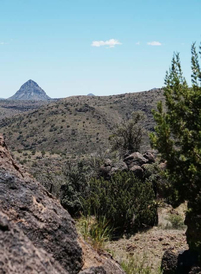 Chihuahuan Desert Research Institute