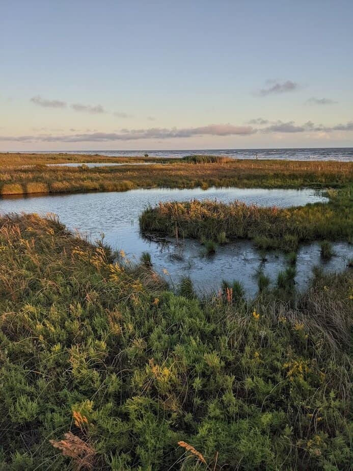 Paddling the Marsh Trails