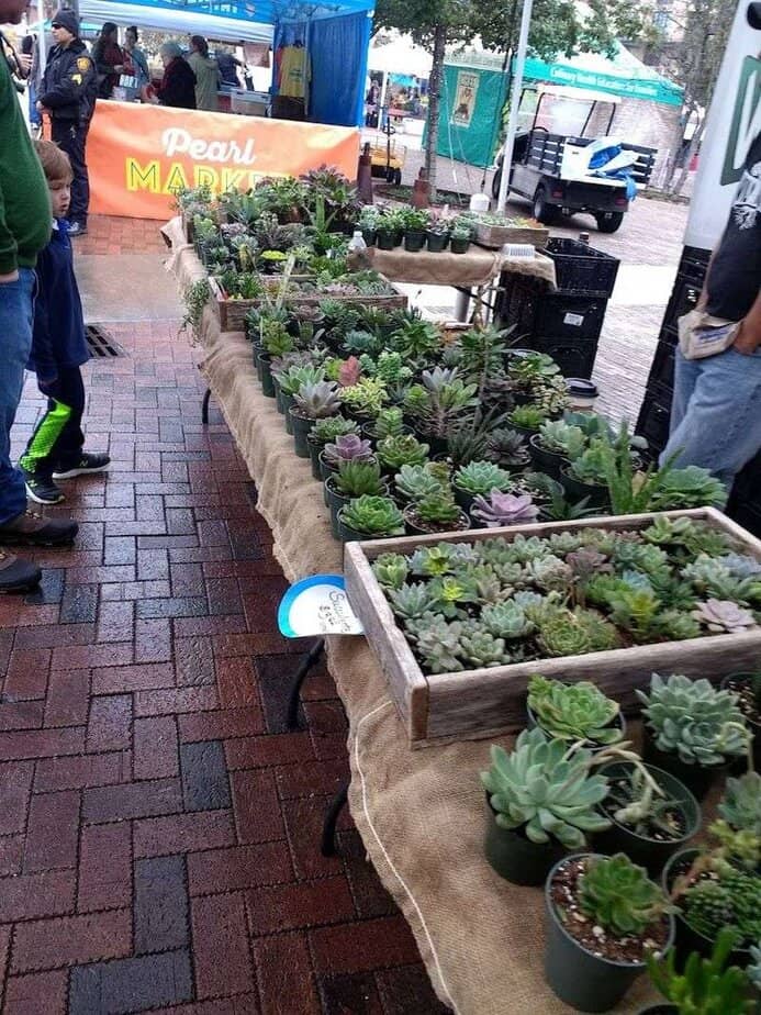 Pro Tips For A Perfect Visit