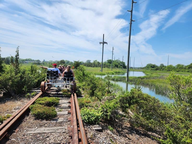 Marsh views wildflowers and open skies make this stretch of Cape May unforgettable