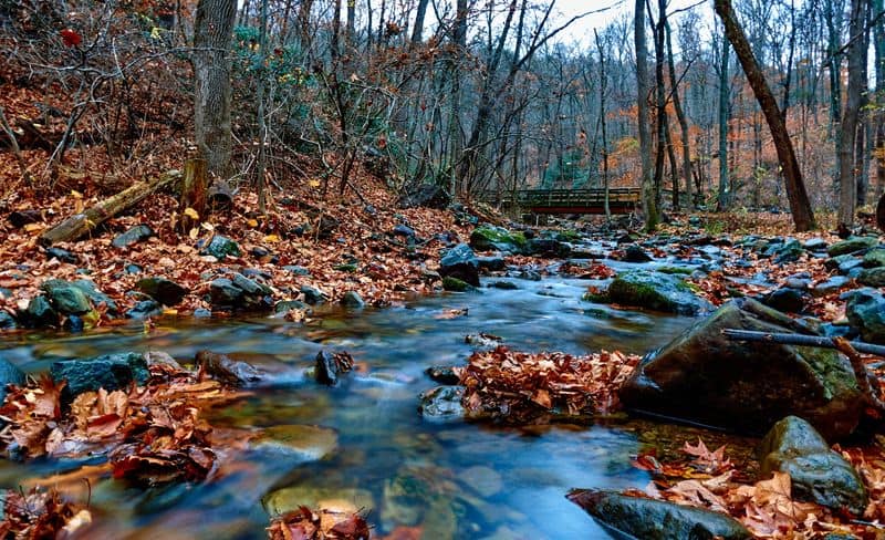 The Peaceful Walk Along Dunnfield Creek Sets the Tone