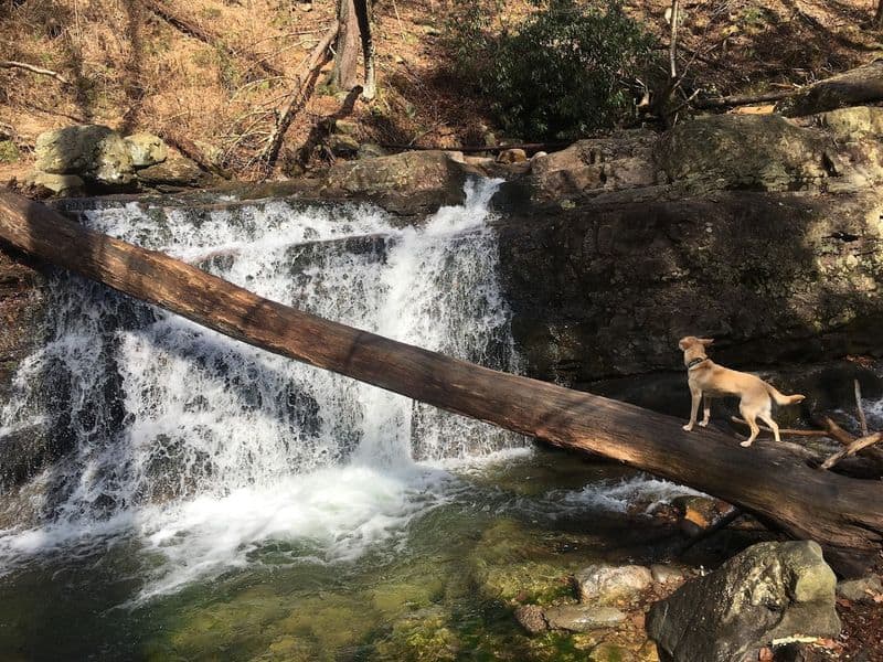 Dunnfield Falls Delivers an Early Reward on the Trail