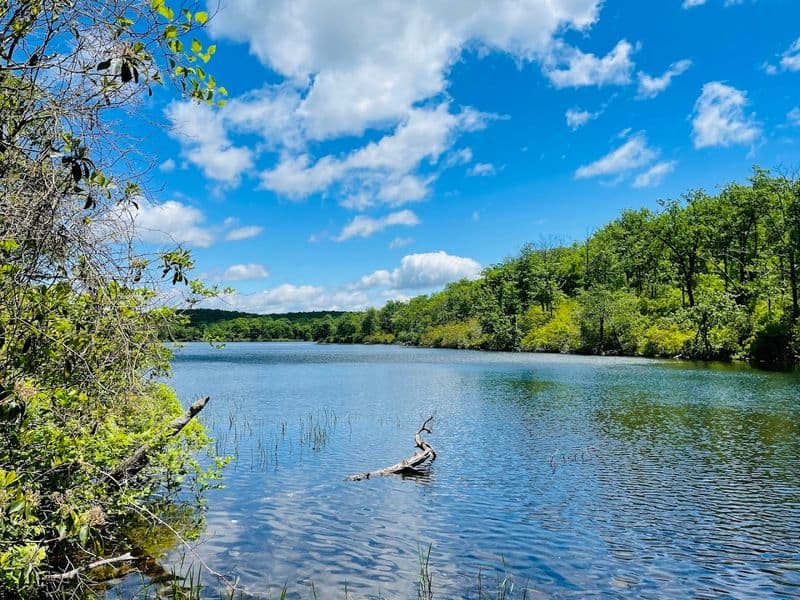Sunfish Pond Is the Kind of New Jersey View You Never Forget