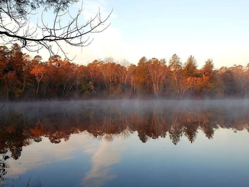 The New Jersey state park almost nobody talks about