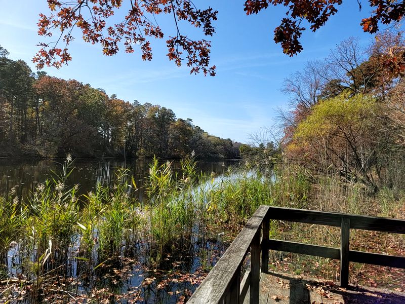Why Parvin State Park feels like a secret in South Jersey