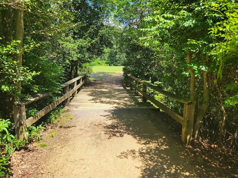 The lakes, trails, and quiet beauty that make this place unforgettable