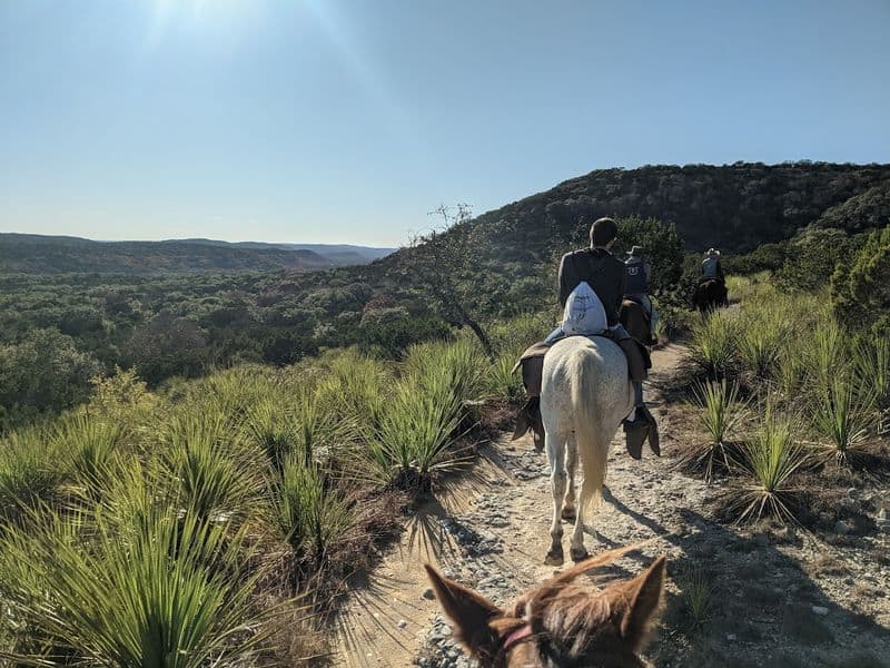 Horseback Riding Heaven