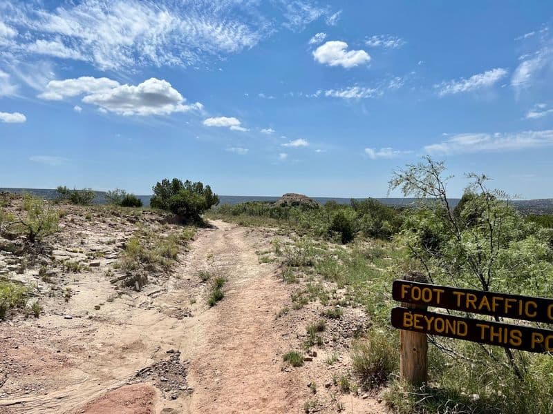 This Short Texas Trail Is Blowing Up as One of the State’s Most Talked-About Hikes Family and Dog Friendly Tips