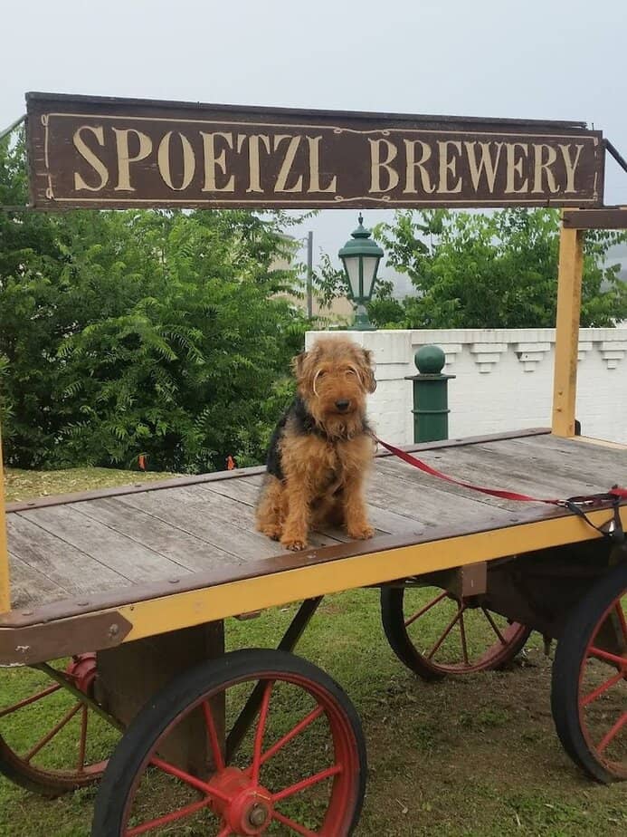 Shiner Historic Downtown Stroll