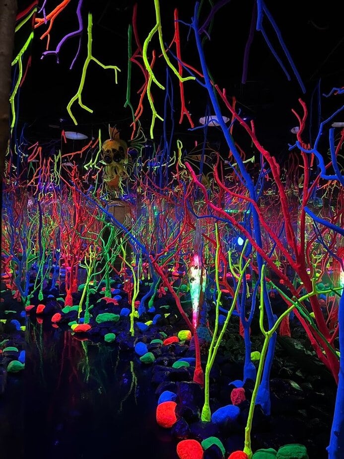 The Real Unreal Overview