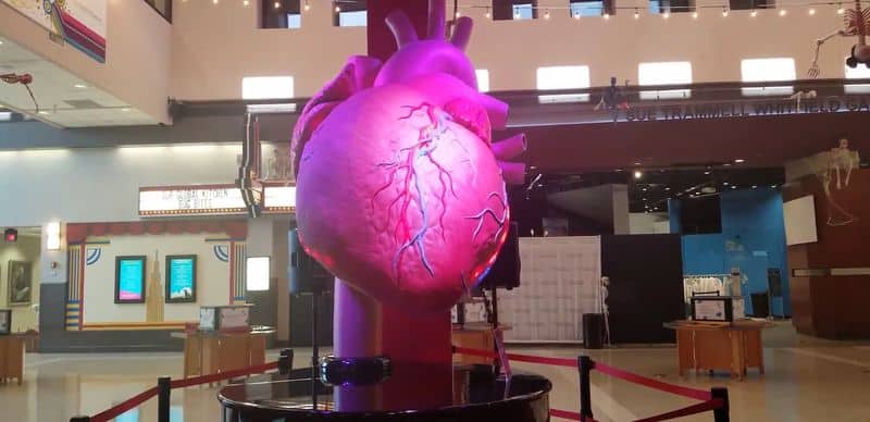 The Giant Beating Heart and Sound Booth