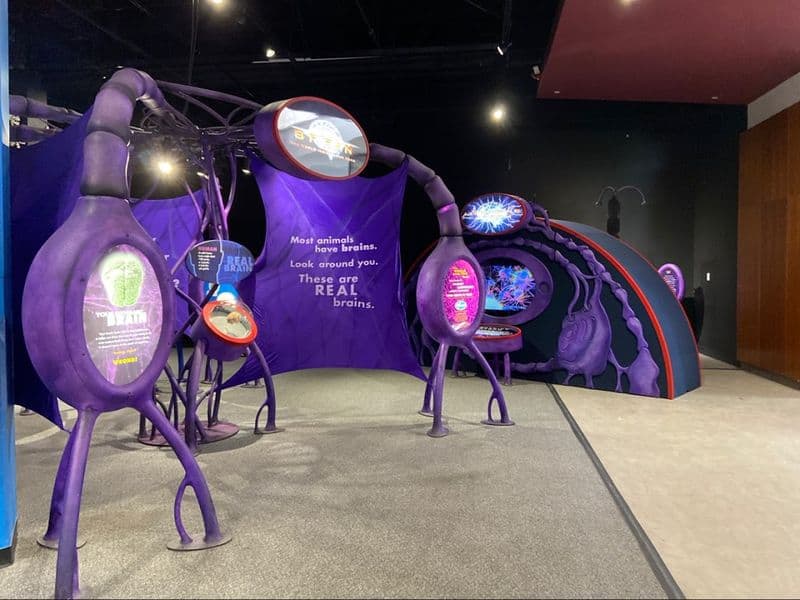 Friendly Staff, Accessibility, and Flow