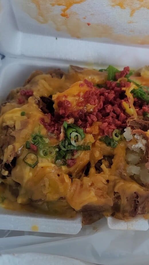 The Waller Dog Experience