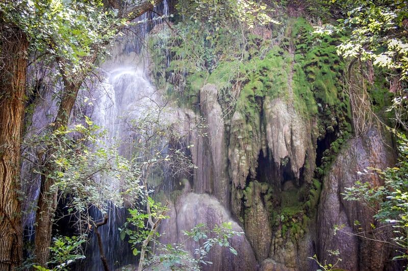 Photo Tips and Angles